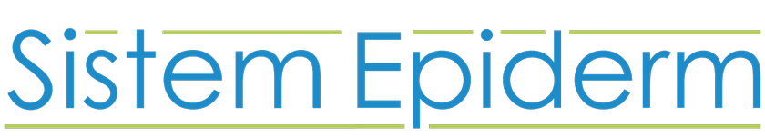 Sistem Epiderm logosu